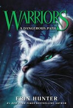 Warriors - A dangerous path