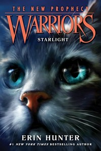 Warriors - Starlight