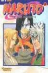 Bd. 19, Naruto