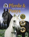 Pferde & Ponys - Rassen, Merkmale, Zucht