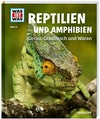 Reptilien und Amphibien: Gecko, Grasfrosch und Waran
