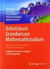 Arbeitsbuch Grundwissen Mathematikstudium: Analysis und Lineare Algebra mit Querverbindungen ; Aufgaben, Hinweise, Lösungen und Lösungswege